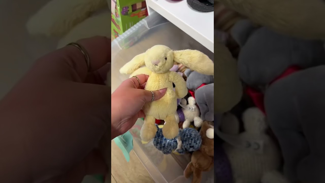 Best charity shop find EVER😍🤭 #charityshop #jellycat #charityshopfind #bargain