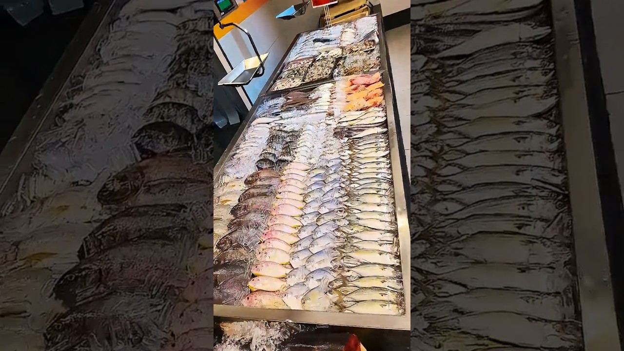 Amazing fish variety fresh Sea fish 