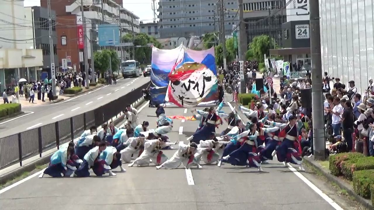 今、ひとたび　2025　犬山踊芸祭　パレード会場　　6月1日　2日目　パレード審査13番目　第２1回犬山踊芸祭