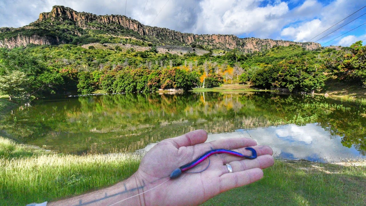 Con esta Lombriz la Pesca es FÁCIL!!!