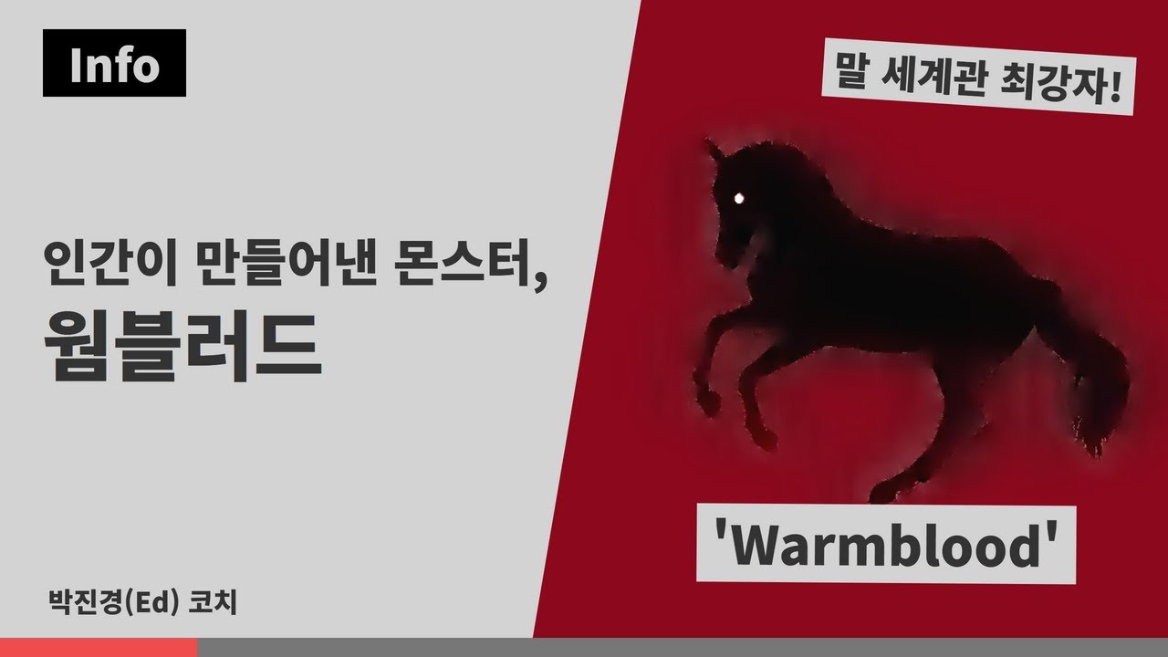[승마] 인간이 만들어낸 몬스터, 웜블러드