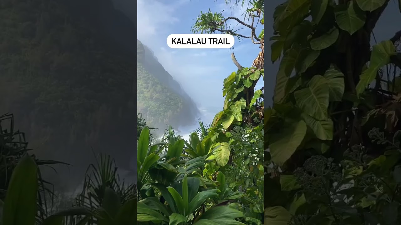 The best hikes to do in Kauai, Hawaii