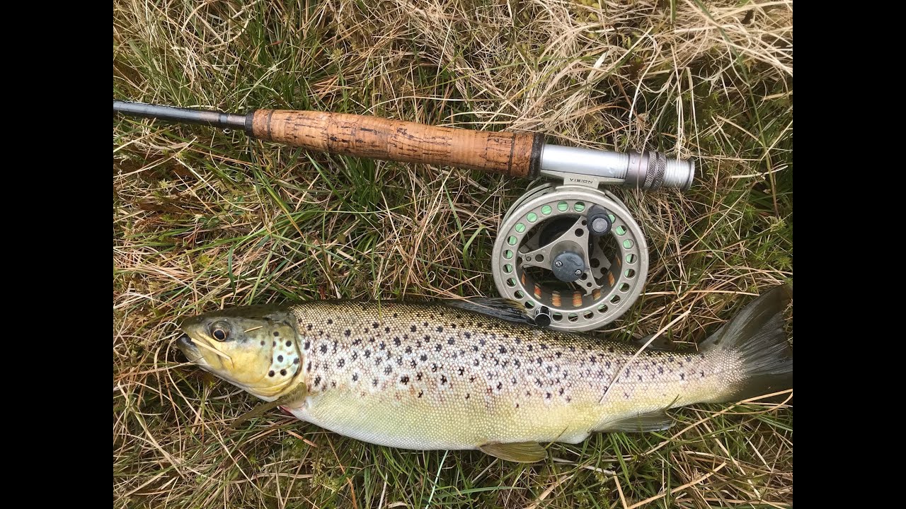Fly fishing for hill loch brown trout