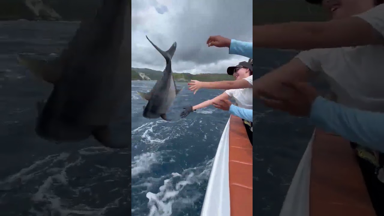 Releasing giant trevely fish! || Fishing In Bali