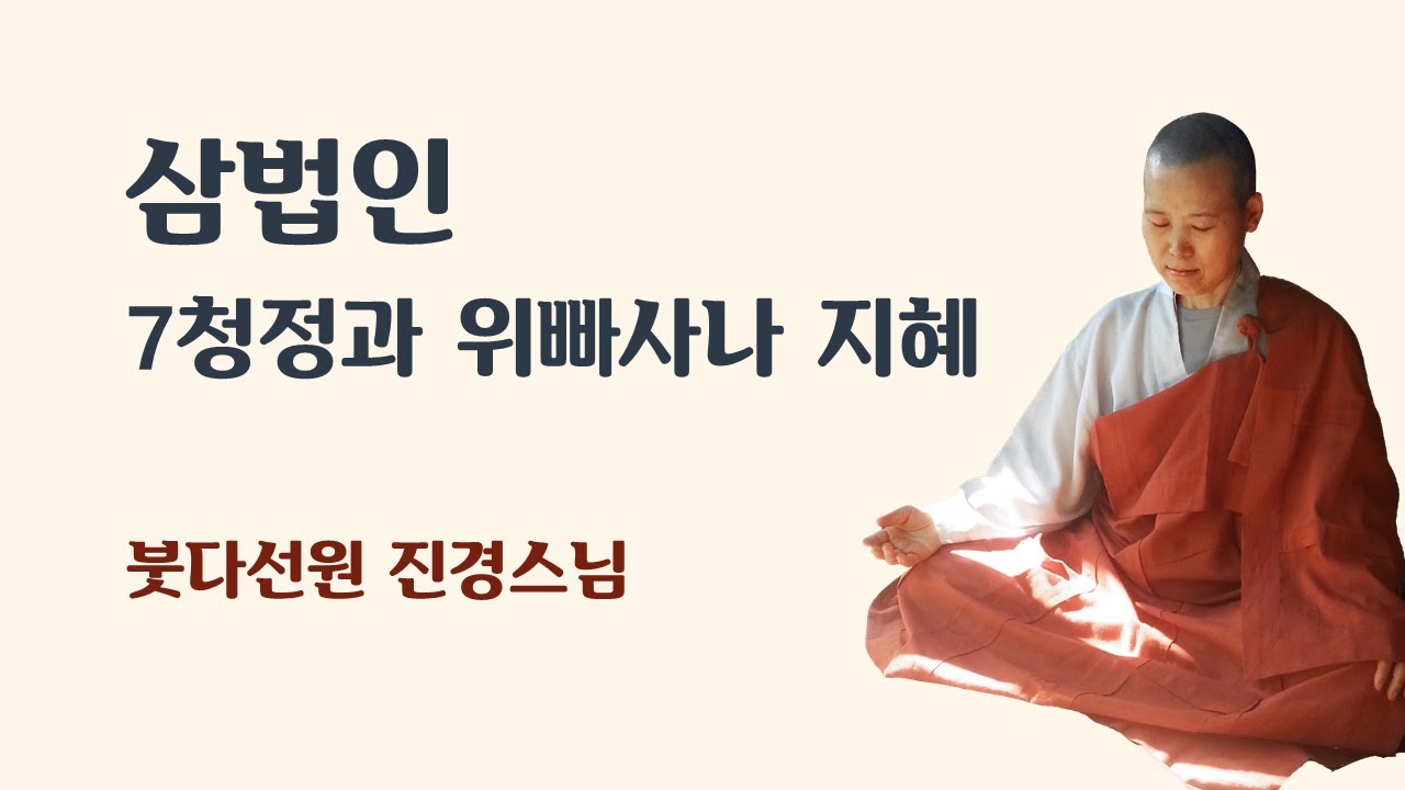 삼법인 (7청정과 위빠사나 지혜)