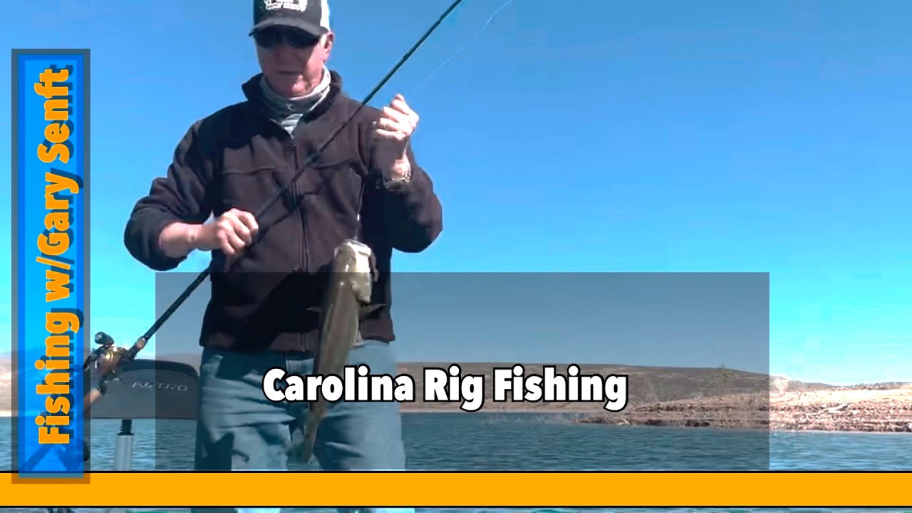 Carolina Rig Fishing