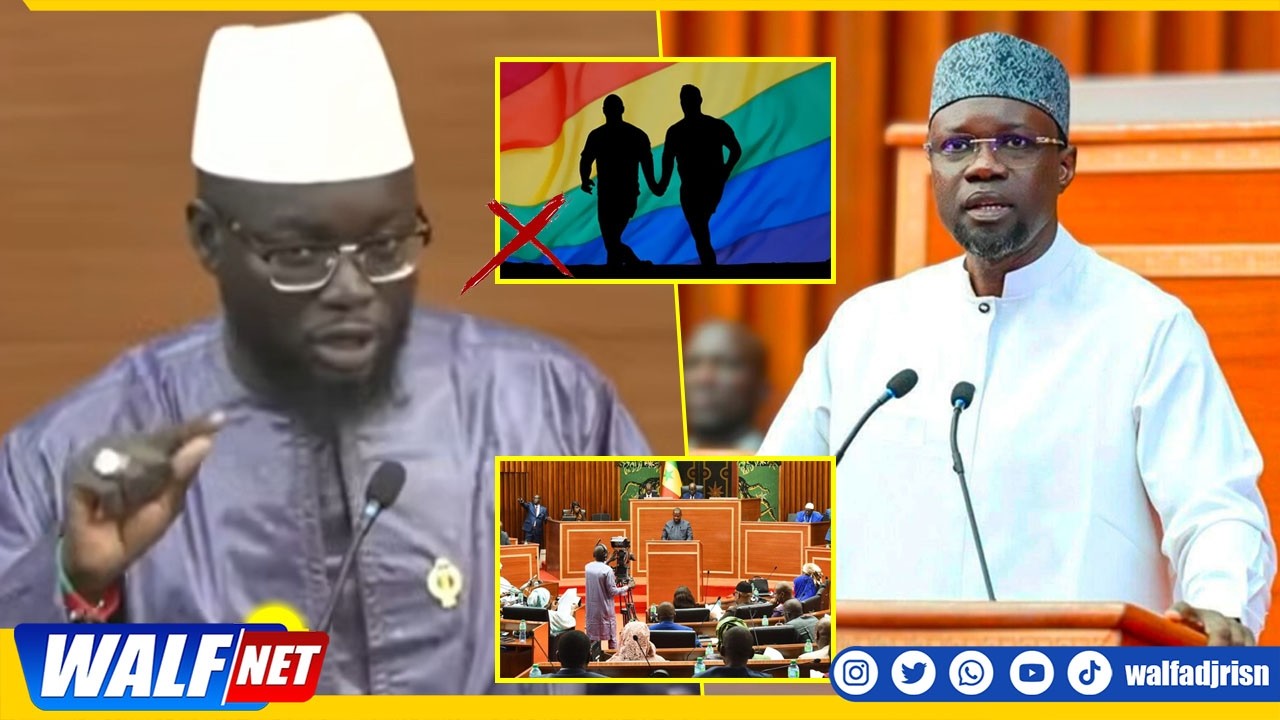 Député Cheikh Omar Bamba sur la loi Sonko