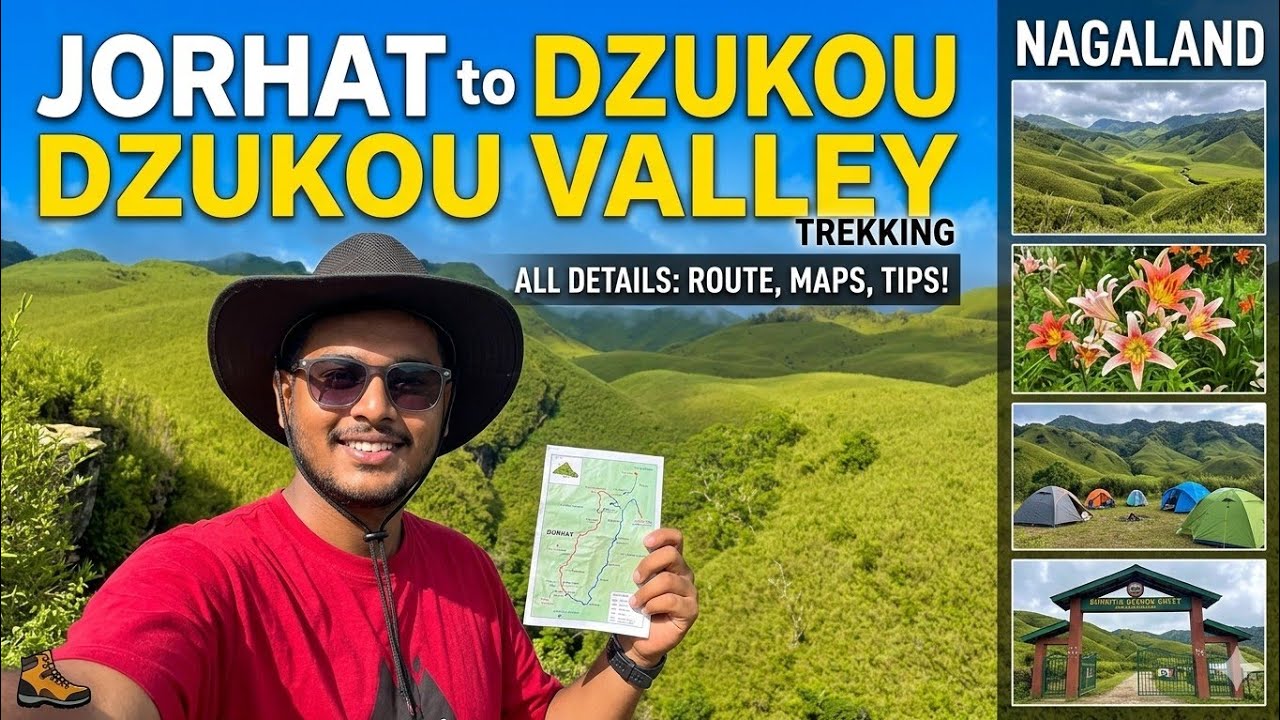 Unreal Beauty! My Dzukou Valley Trekking Journey🔥