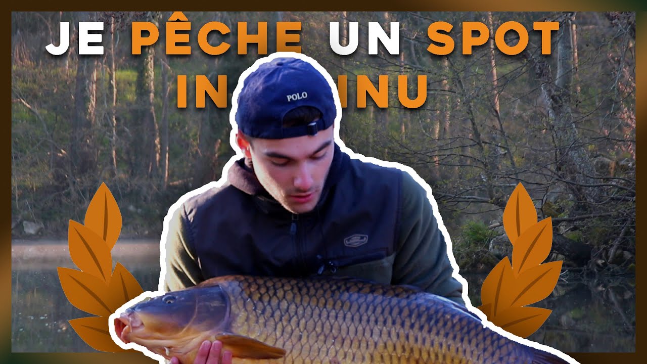 Pêche a la Carpe en Rivière 2021 | Découverte d'un NOUVEAU SPOT