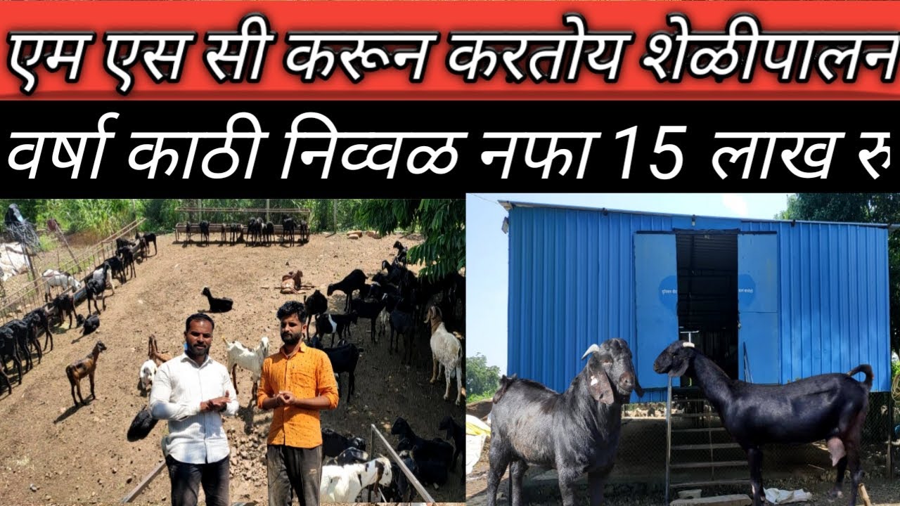 शेळीपालनातून वार्षिक नफा 15 लाख रु, शेळीपालन शेड:goat farming: