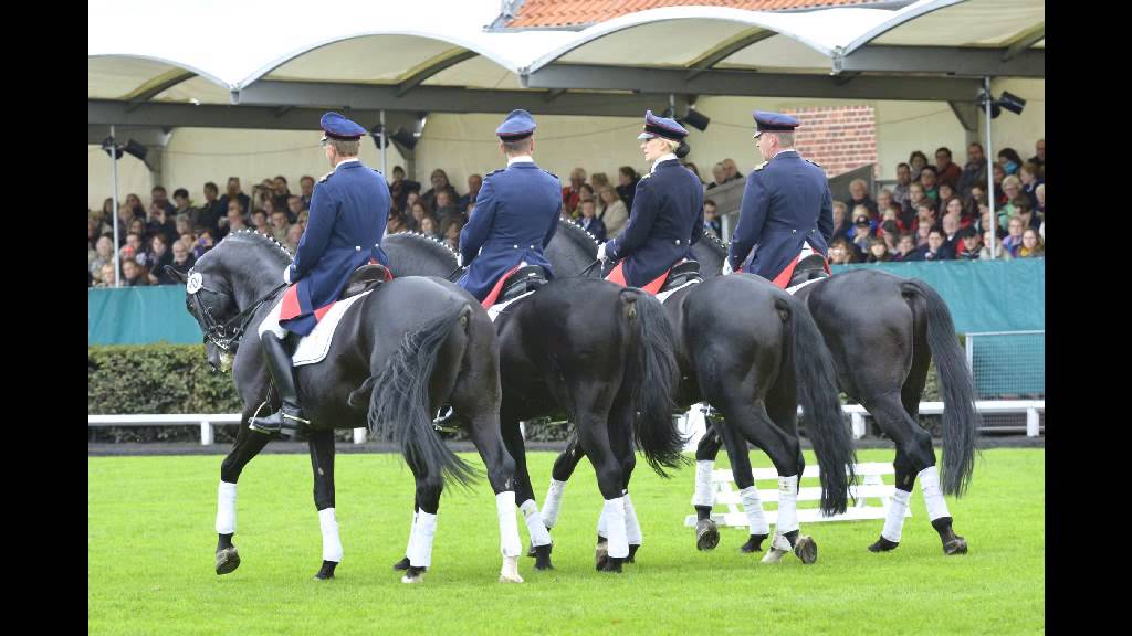 Hengstparaden