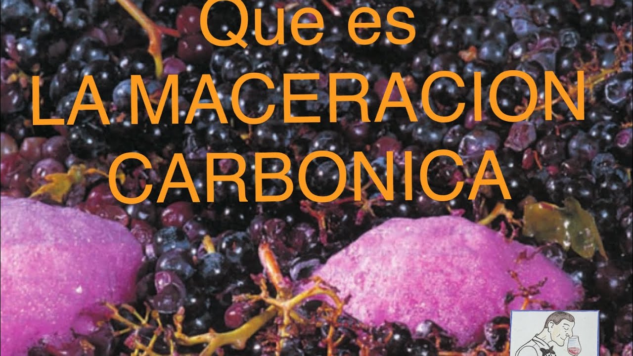 (60) QUÉ ES LA MACERACIÓN CARBÓNICA ?