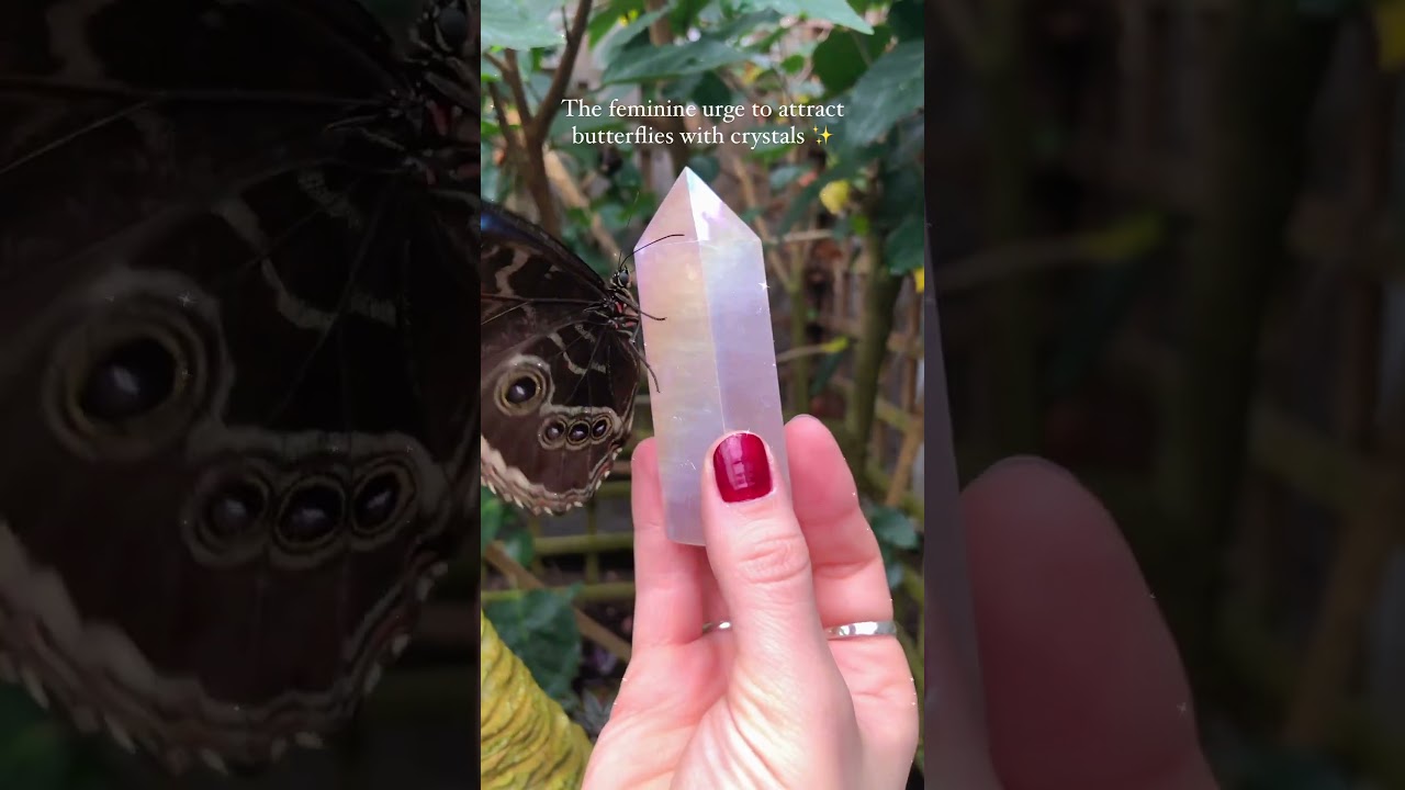 butterfly on the crystal tower ,I am that gurlll