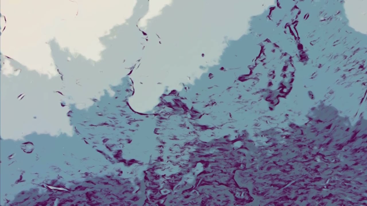Beneath the Blue