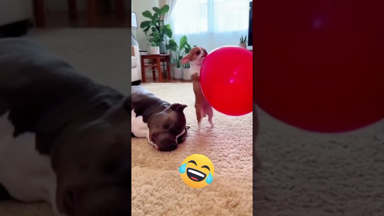 o segredo para visita não ficar muito tempo na sua casa