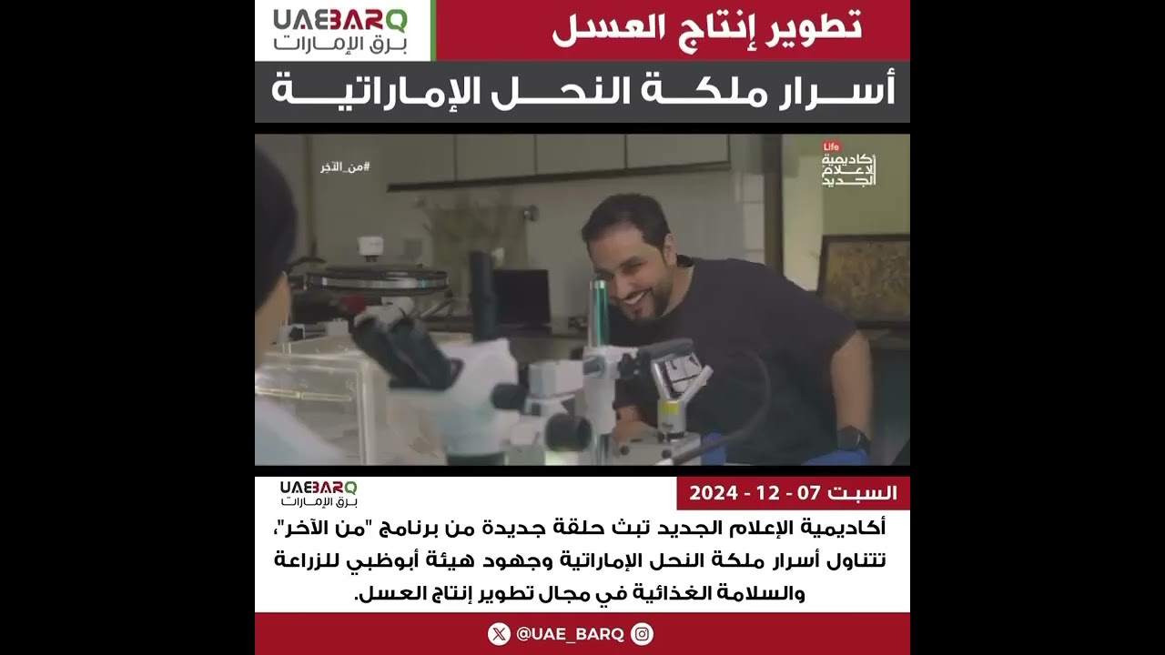 النحال الإماراتي  أسرار ملكة النحل الإماراتيه