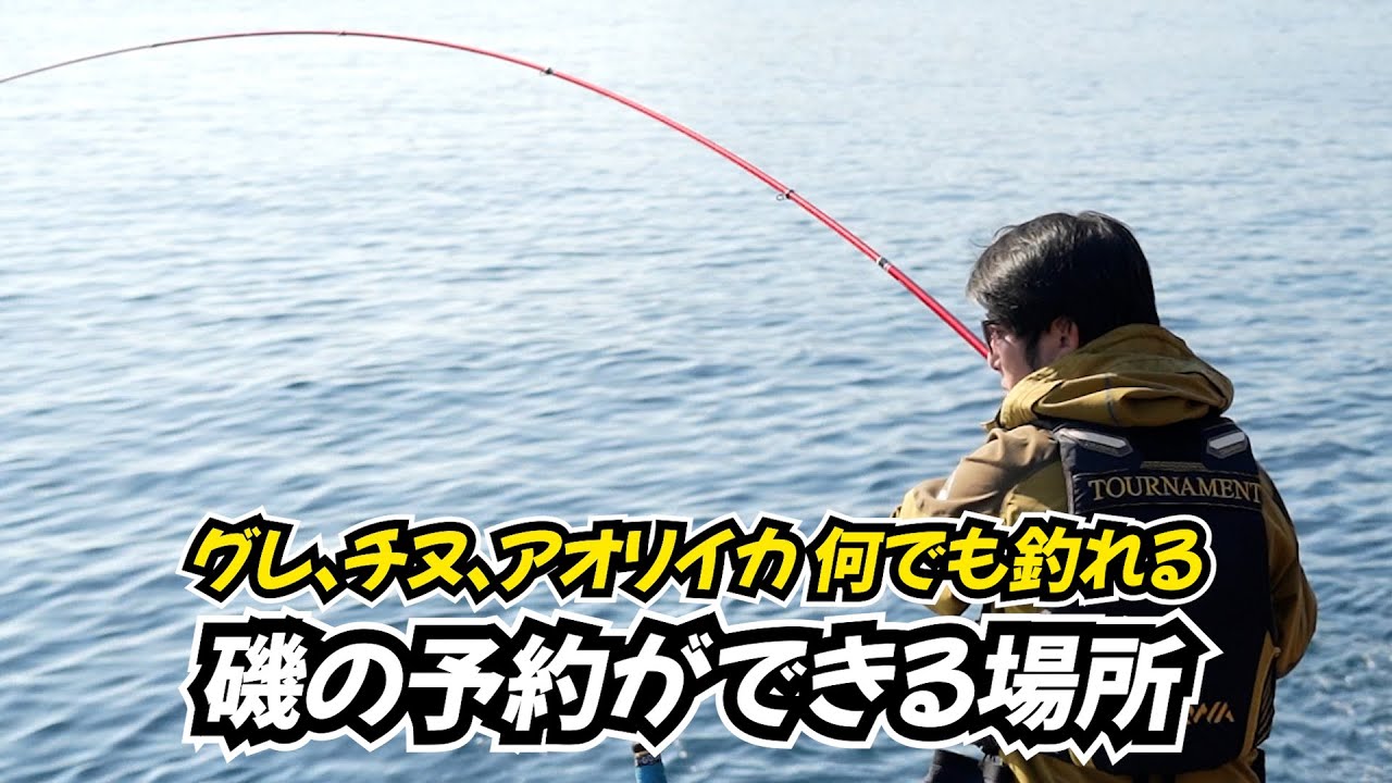 【神前浦】寒グレシーズン到来、良型グレを釣りに行きました！