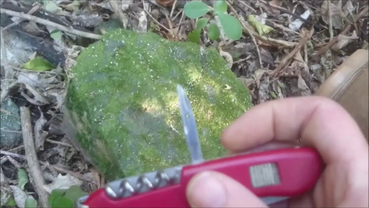 Victorinox Hunter Review