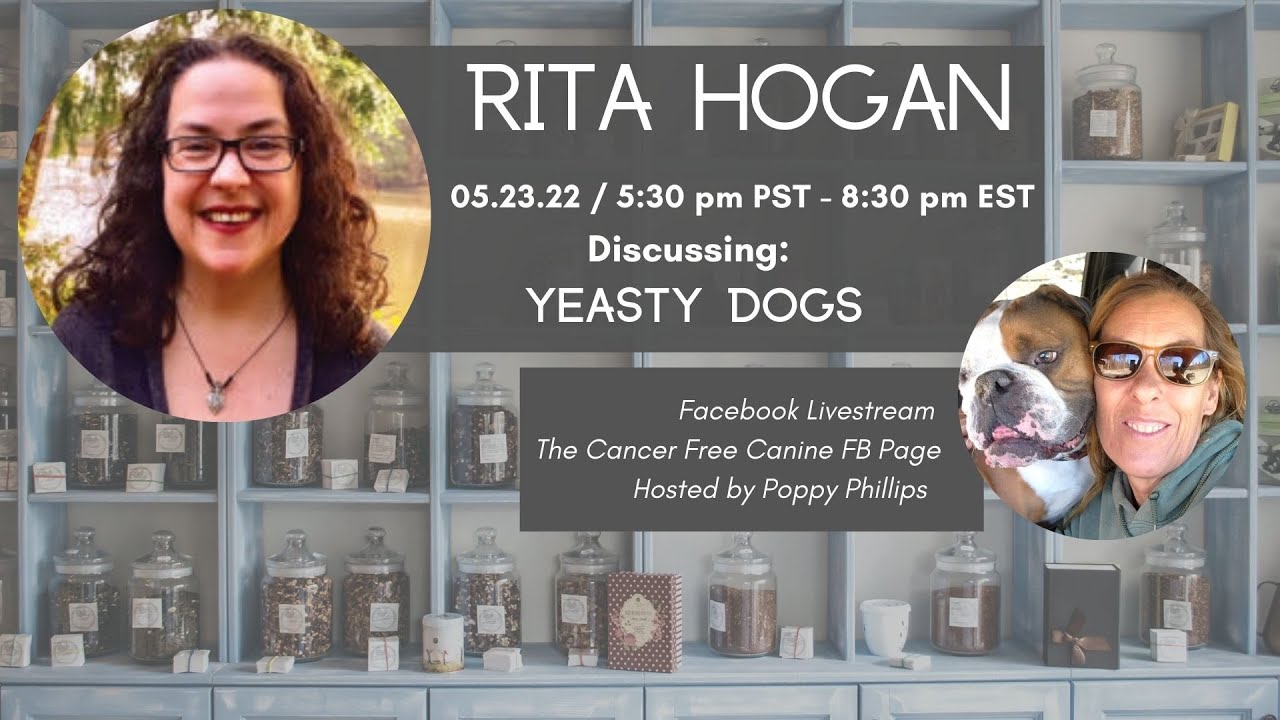 Rita Hogan Yeasty Dogs