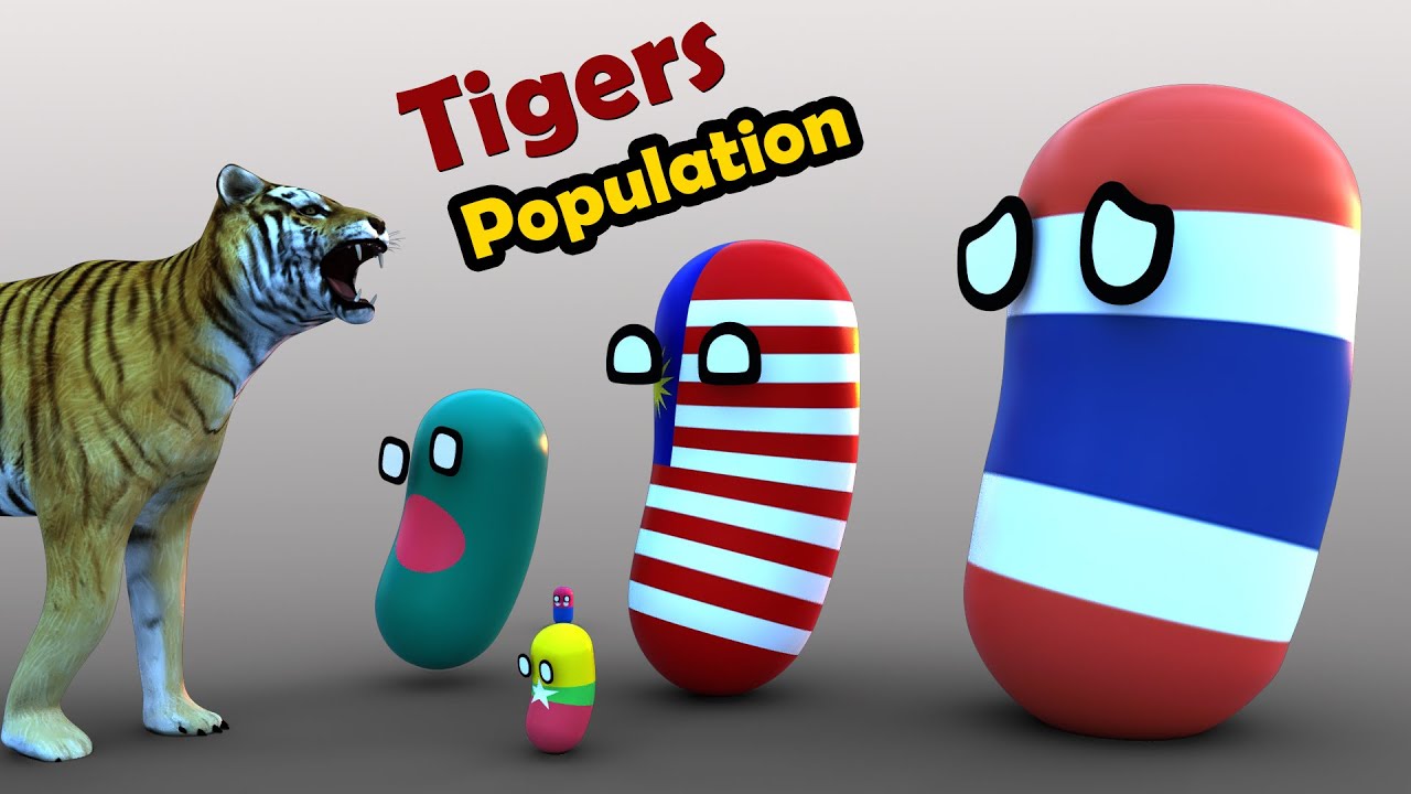 Country Capsule  Scaled by Tiger Population | Tiger Population in different countries