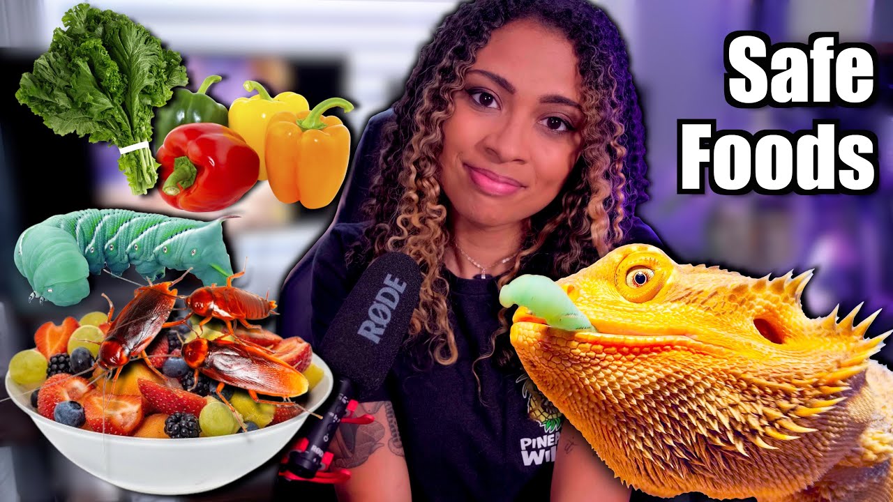Safe Food Guide For Bearded Dragons | Vegetables, Fruits, and Bugs