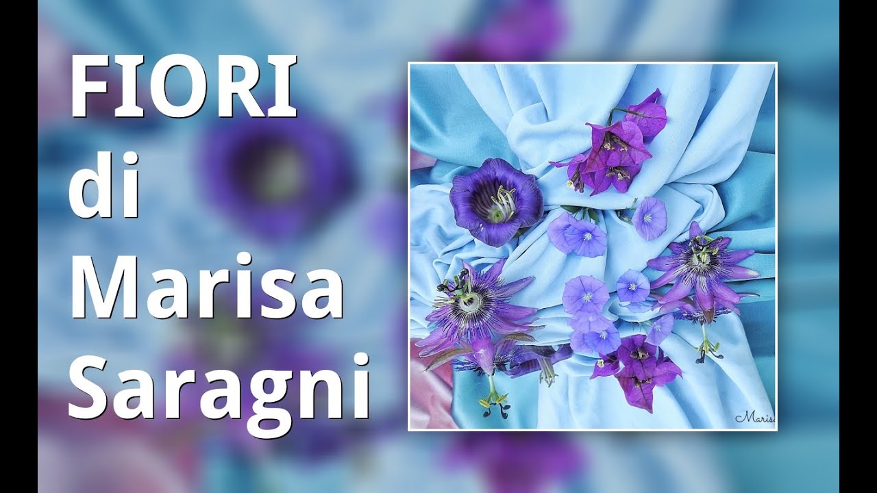 FIORI di Marisa Saragni