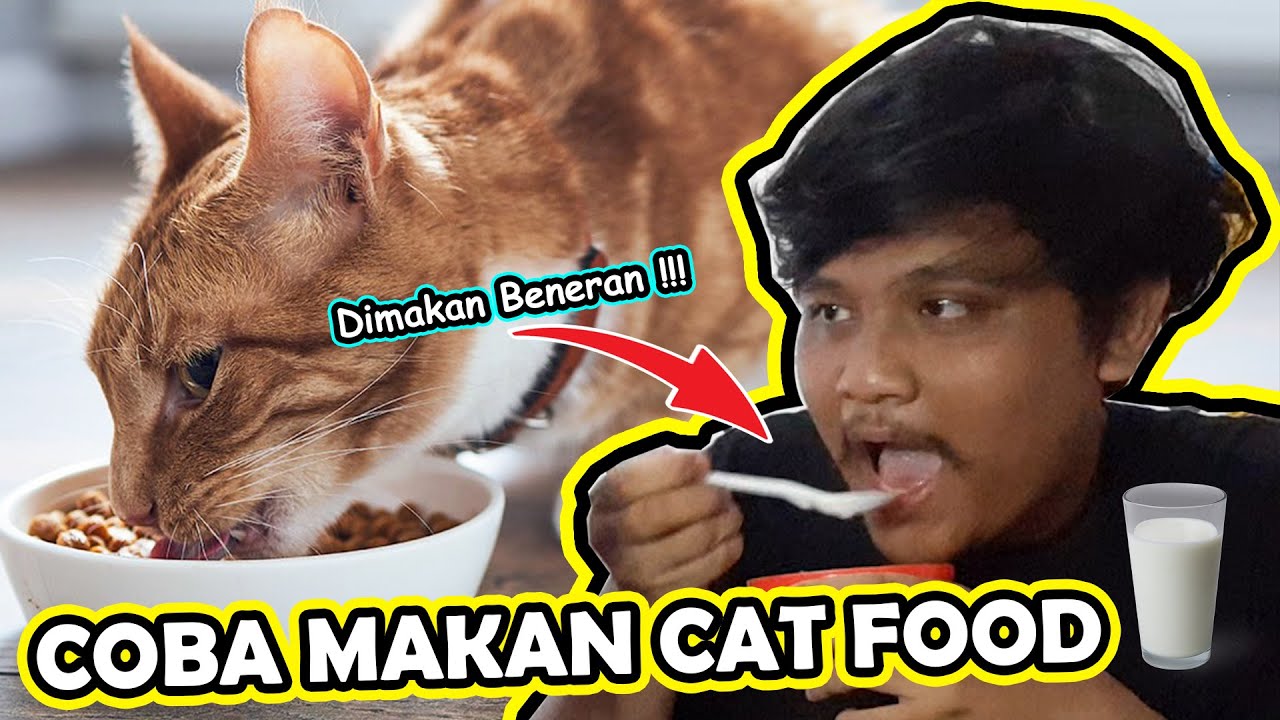 COBAIN MAKAN MAKANAN KUCING YG RASANYA PALING ENAK