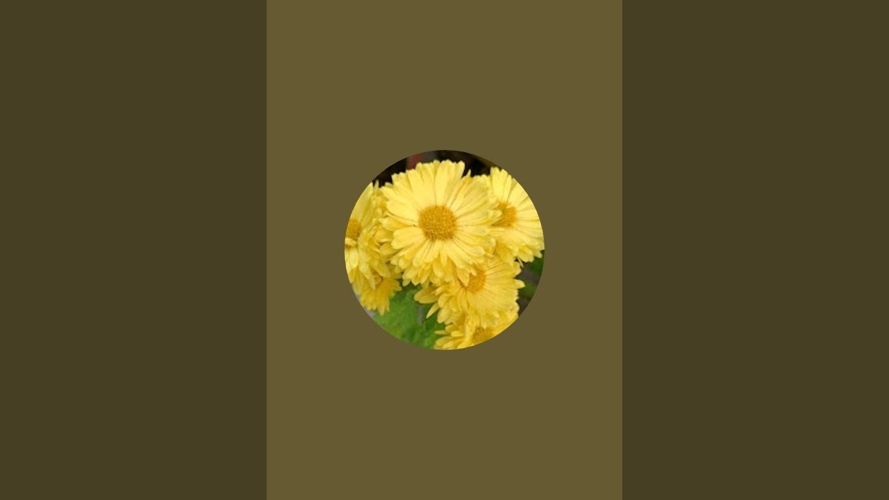 Nature and animals lover is live