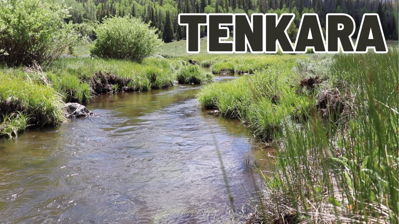Fishlake UT Tenkara Fishing for Brook Trout!