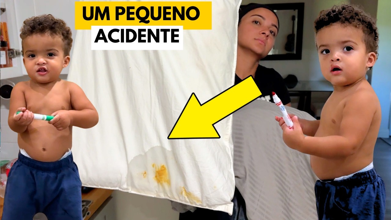 UM PEQUENO ACIDENTE COM OS GEMEOS
