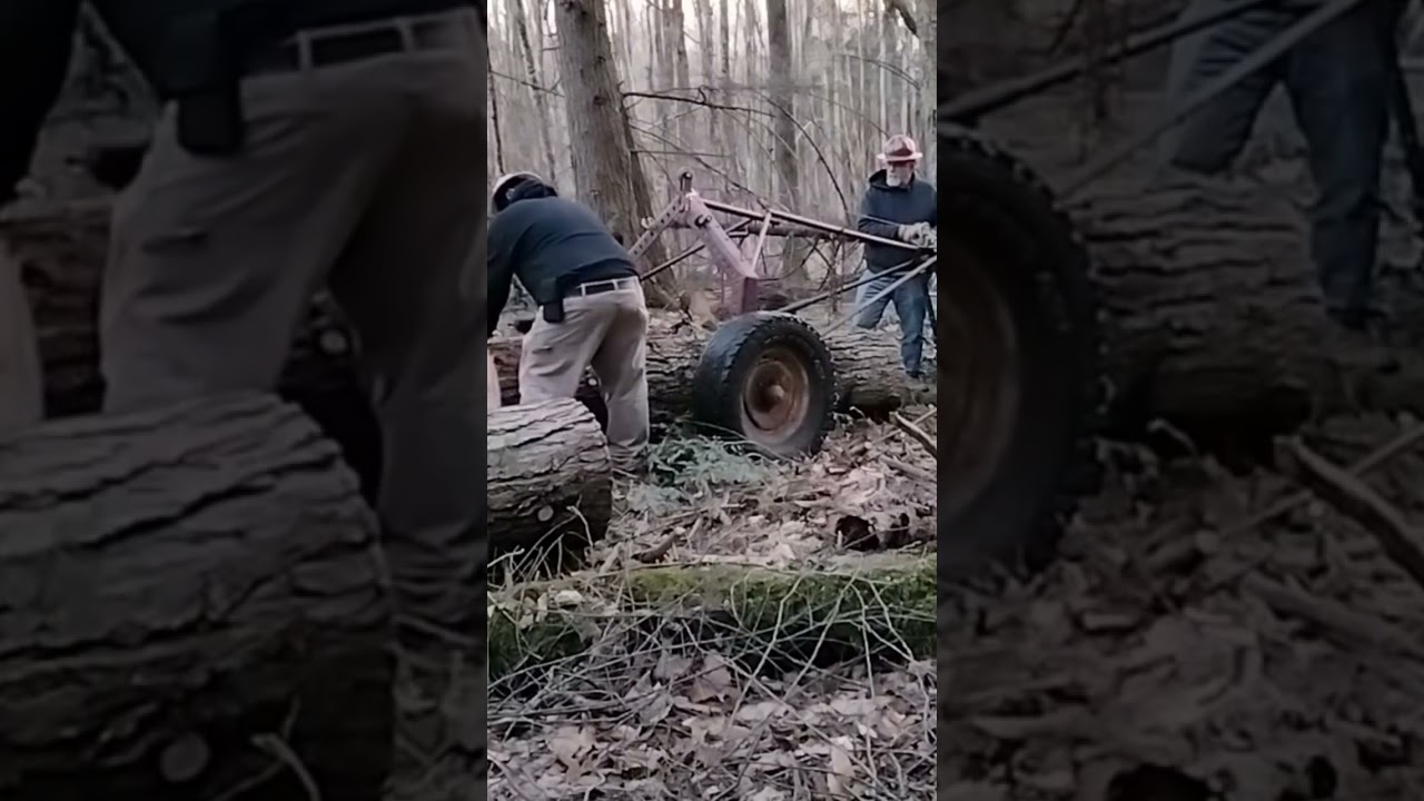 Log removal dirt free! #logarch #chainsaw #forest #