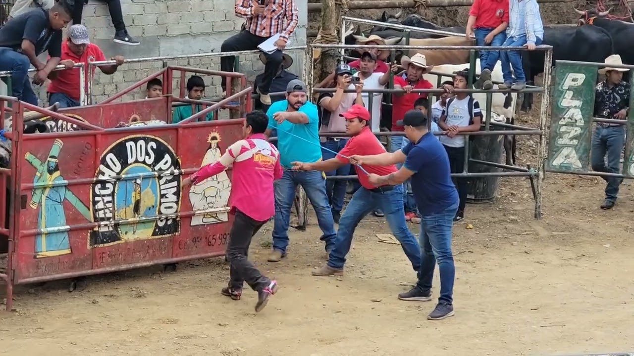 TORNEO DE GANADERÍAS SANTA MARIA PAPALO 2024