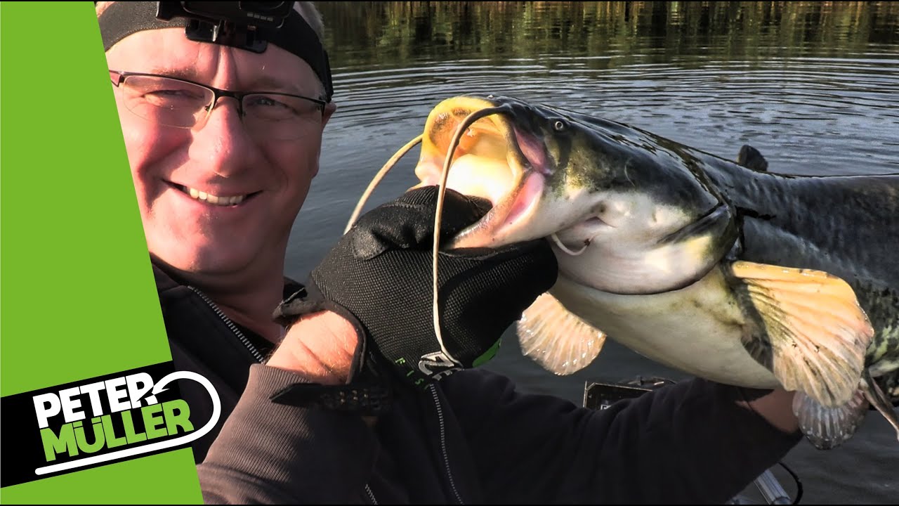 Klopfen auf Wels und Gewässer erkunden #waller #fishing #angeln