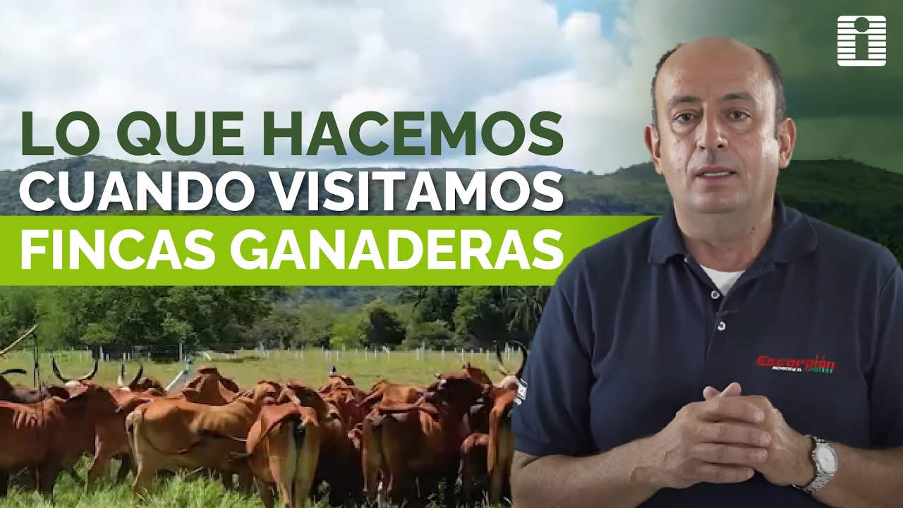 🌱 AGROINVESA | AS&Iacute; REALIZAMOS UNA VISITA T&Eacute;CNICA A UNA FINCA GANADERA 🐄📋