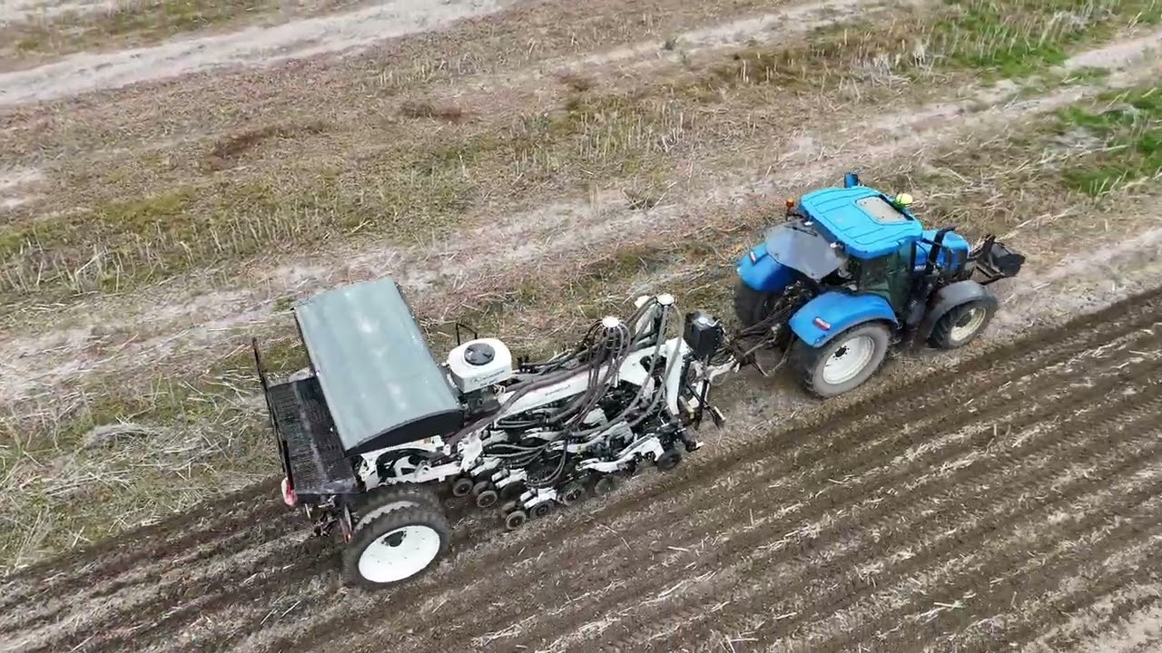 Siew pszenicy w technologii strip-till New holland T6.175 & STRIP CAT ll 