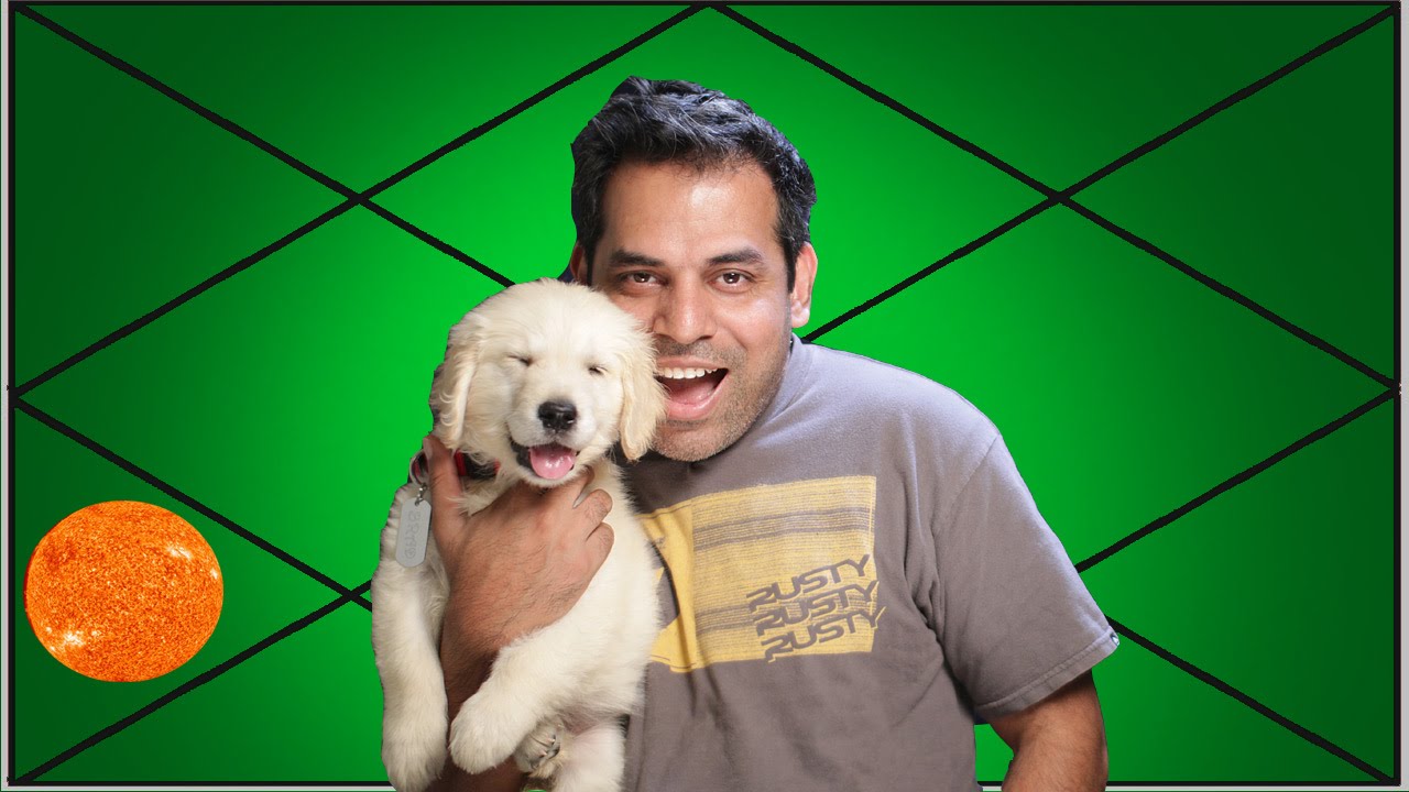 Sun in 5th house in Libra for Gemini Ascendant in astrology (Golden Retriever Puppy)