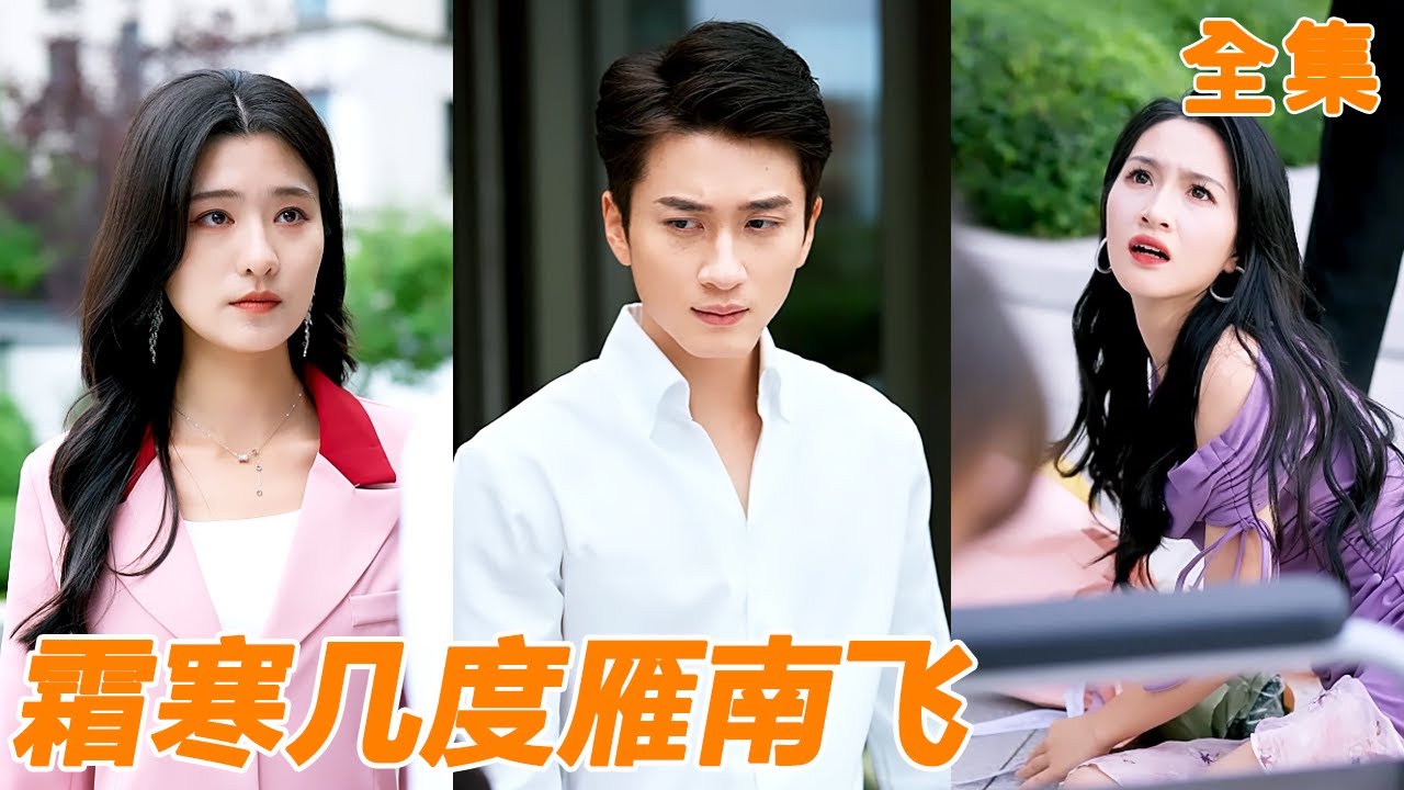 結婚7年的妻子為了初戀直接丟掉小夥買的禮物，他終於對她徹底死心選擇帶著女兒凈身出戶，沒想到暗戀他多年的女總裁帶著全部身家當天就拐他去領證！【霜寒几度雁南飞】【251006dw】#男频 #爽文 #短剧