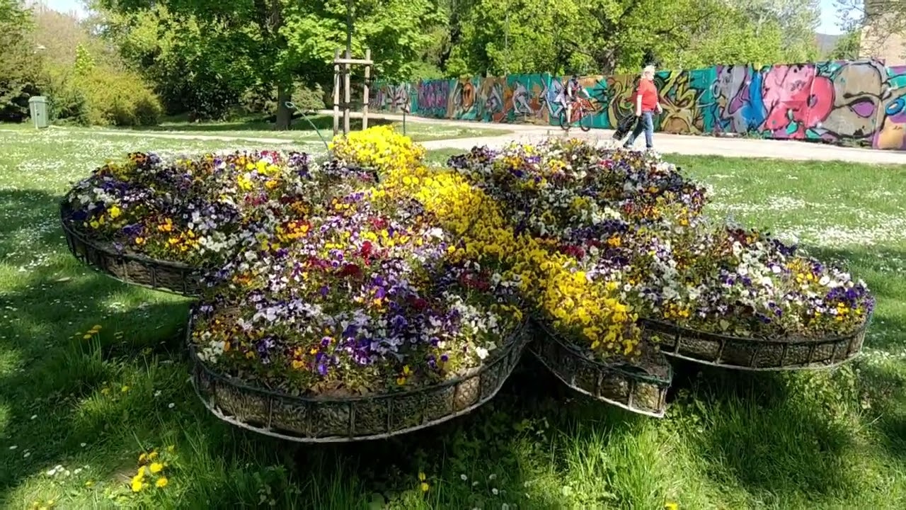 Walk: May in Piešťany / Prechádzka: Máj v Piešťanoch