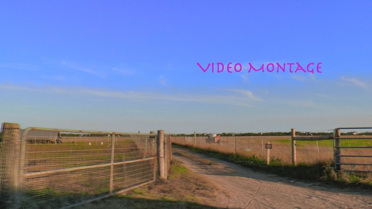 The Farm Montage - Bo Wayne