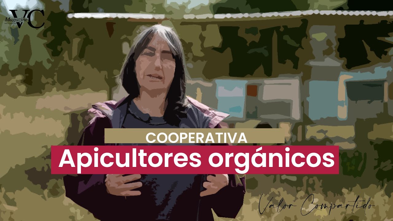🐝 Apicultura orgánica y asociatividad