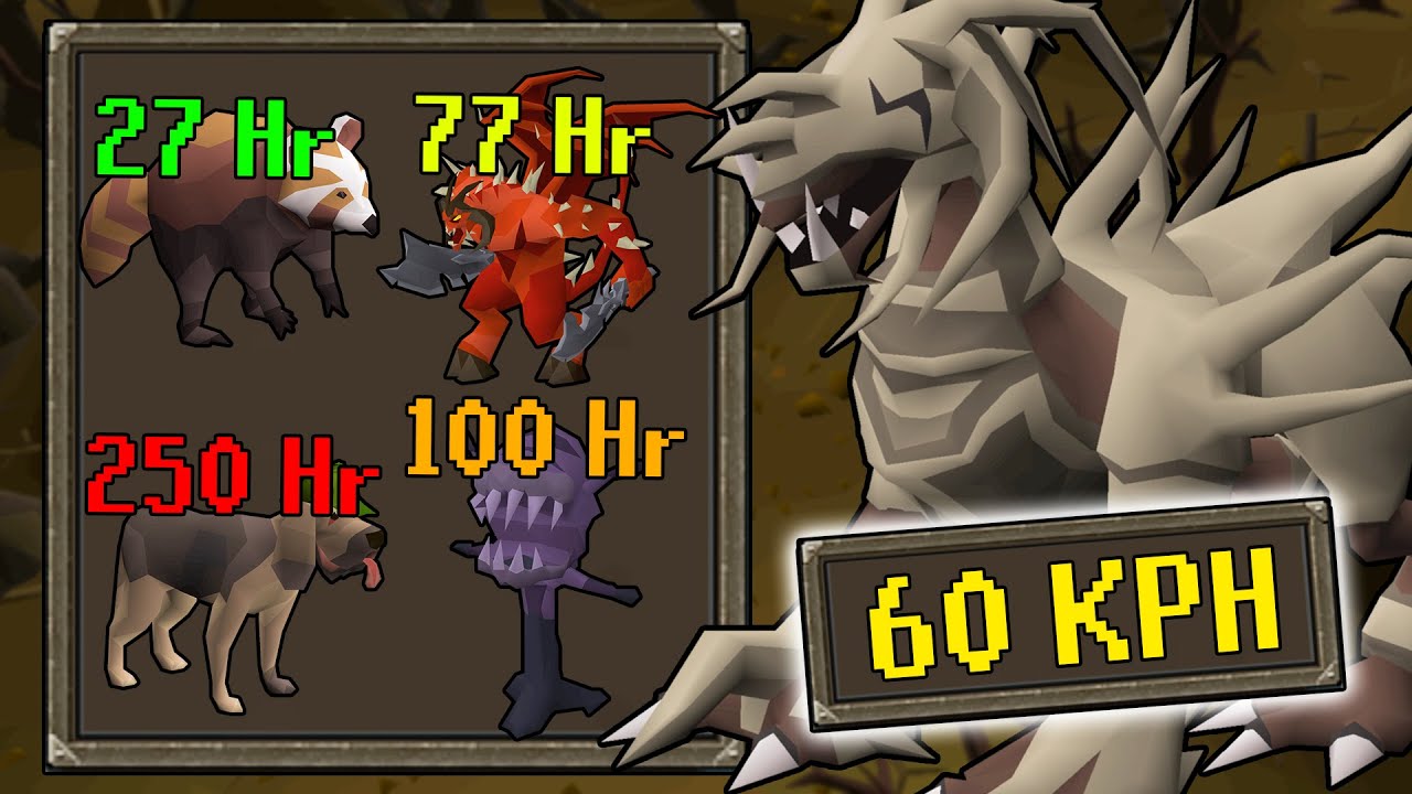 Подземный мир олдскульных охотников за питомцами Runescape! [OSRS]