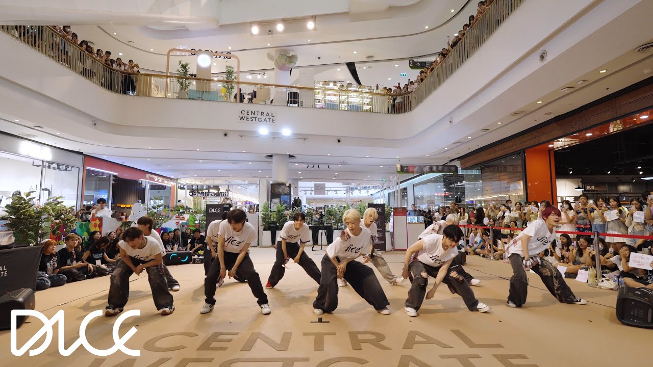 DICE 'สุดปัง (Sudpang!)' DICE ON THE RUN (Central Westgate)
