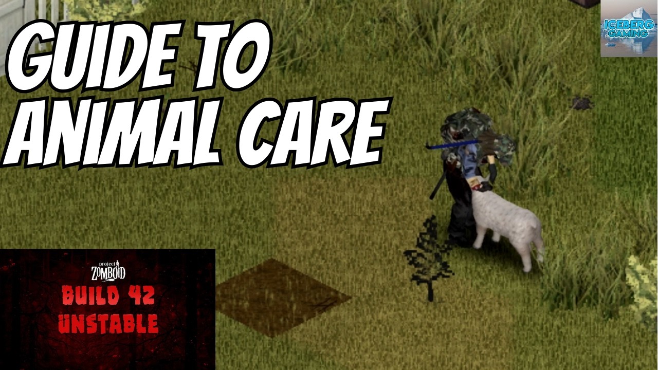 Как улучшить уход за животными в Project Zomboid, версия 42