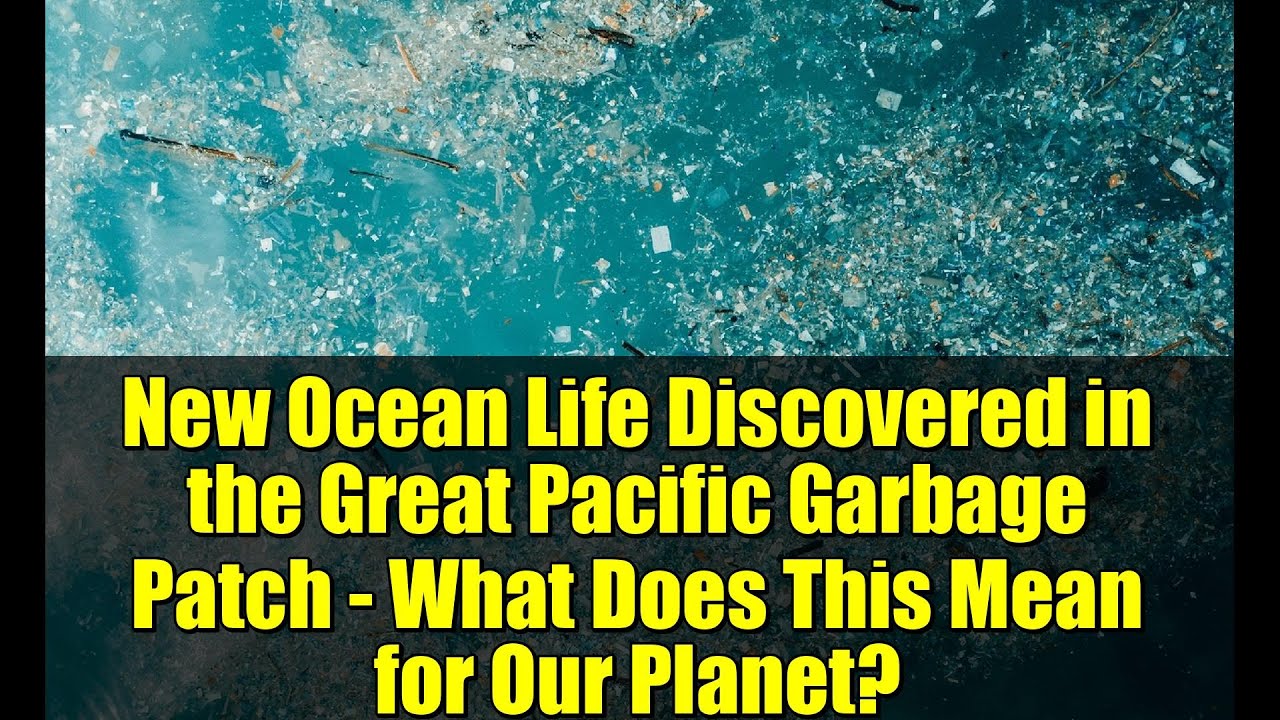New Ocean Life Discovered in the Great Pacific Garbage Patch - What Does This Mean for Our Planet?