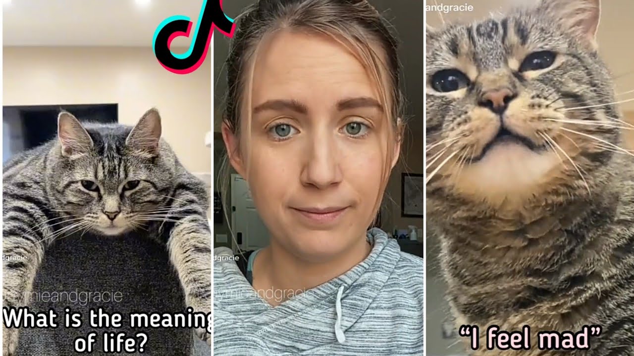 Penny feels Mad! Penny the talking cat/Singing cat