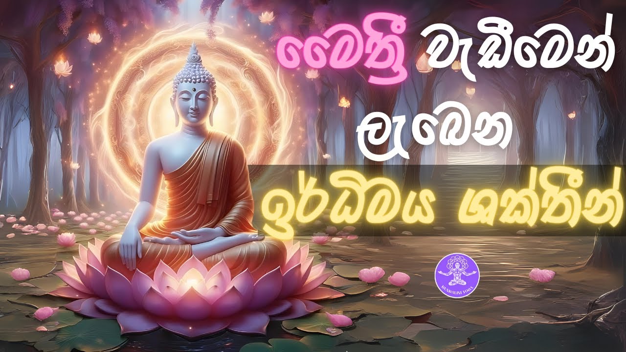 මෛත්‍රී භාවනාව වැඩීමේදී ලැබෙන ඍධිමය ශක්තීන් | Metta Meditation | Maithree Bawanawa