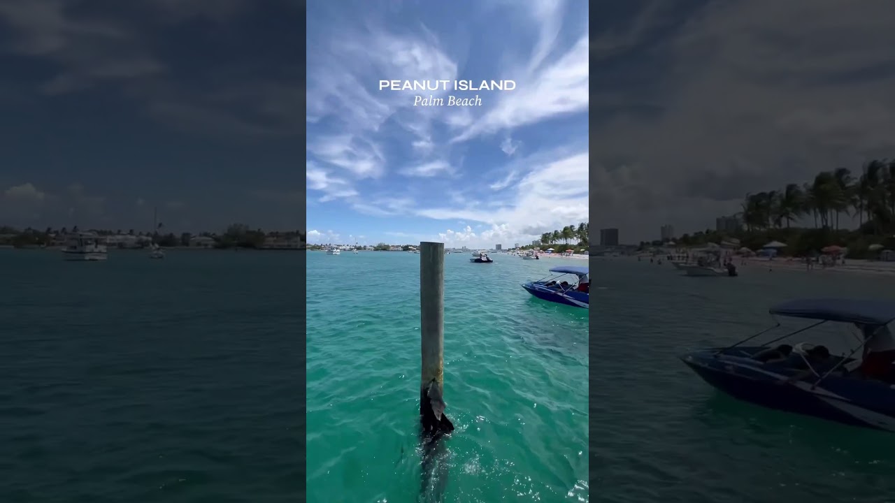 Un d&iacute;a en Peanut Island, Palm Beach, Florida 🏝💕