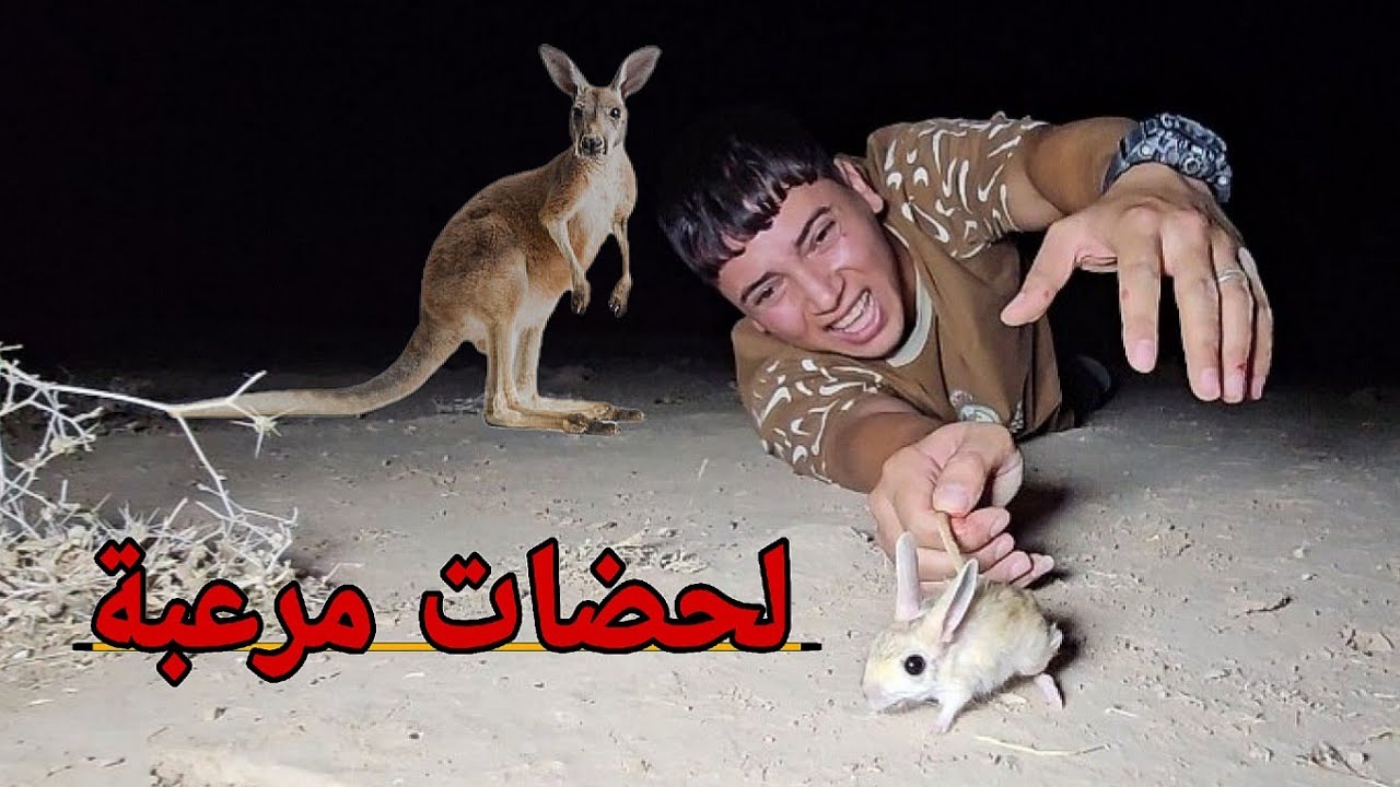 لزمت اسرع حيوان بري بالعراق _شوفو شصار بينه 😱