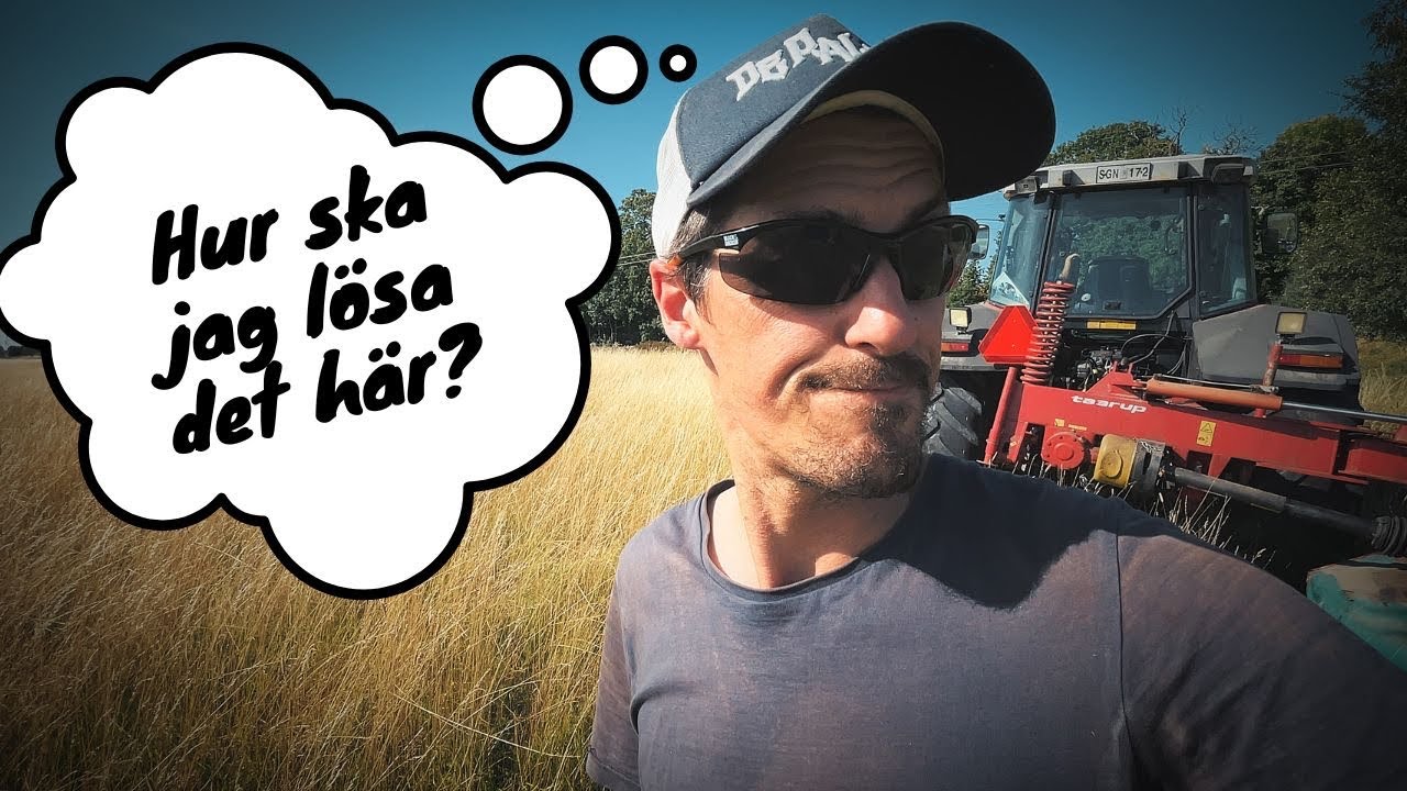 Vår fodersituation just nu | vlogg 304