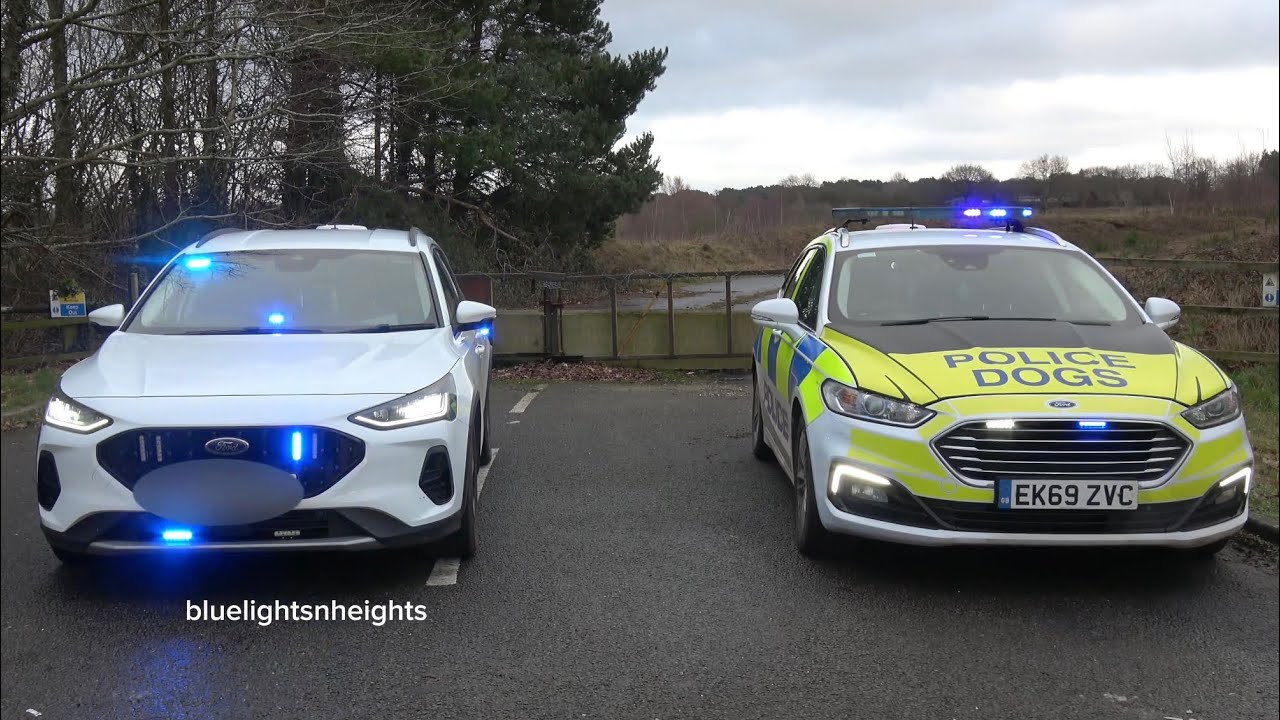 Cheshire Police Unmarked Ford Focus & Ford Mondeo Dog Unit Giving Blue Light Demos near Winsford HQ